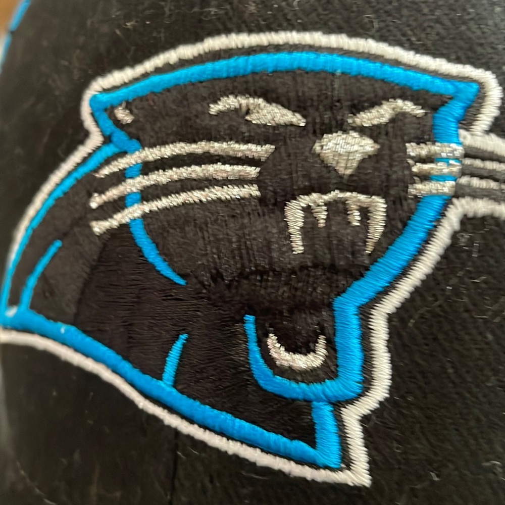 Panthers BB Cap